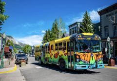 Free Mountain Express bus